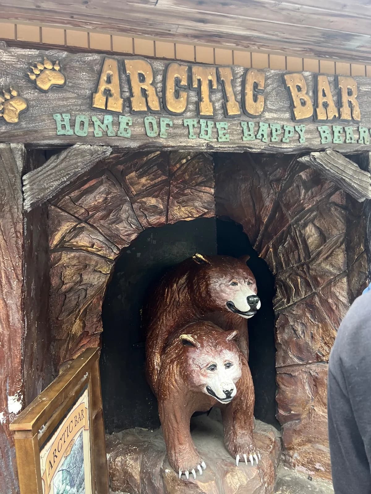 Bear sighting: Arctic Bear gives piggy back rides