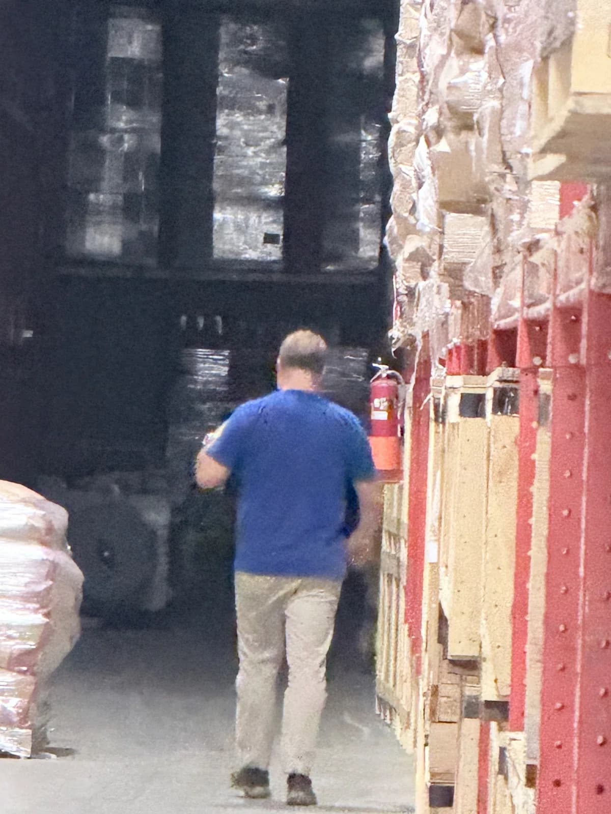 Bear sighting: Bear off to the yard