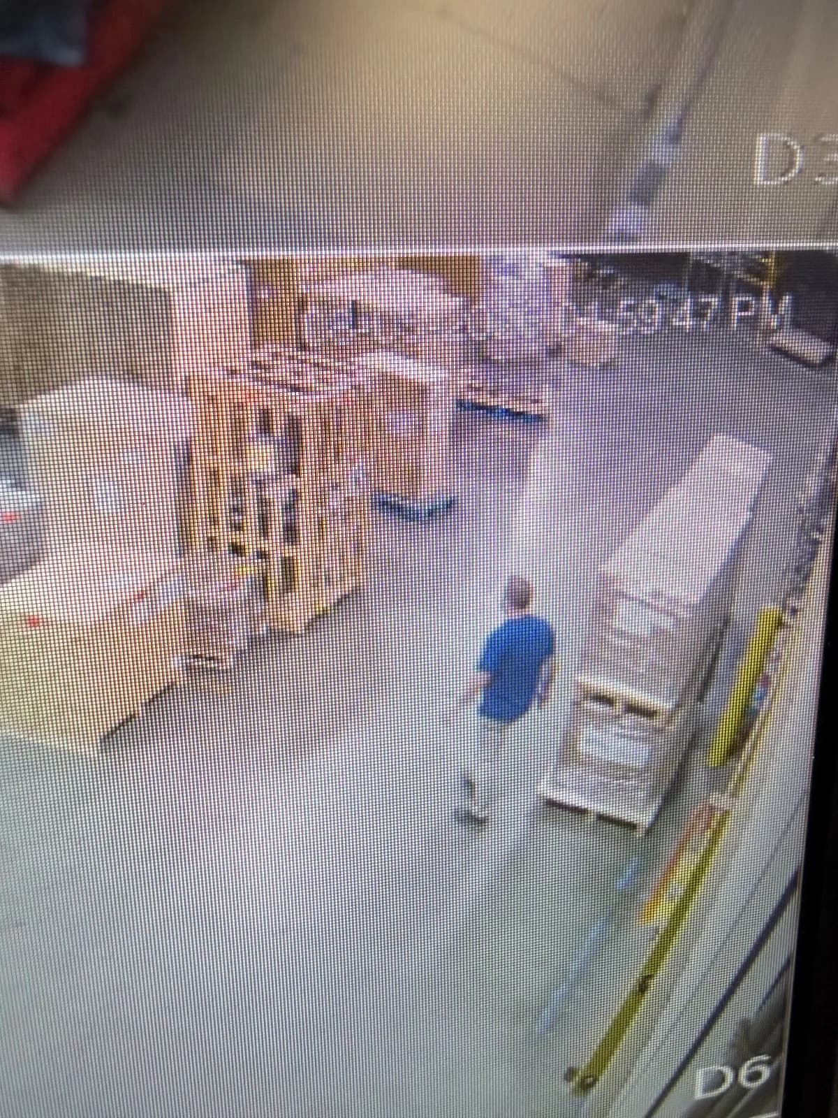 Bear sighting: Bear on the hunt (for steel)