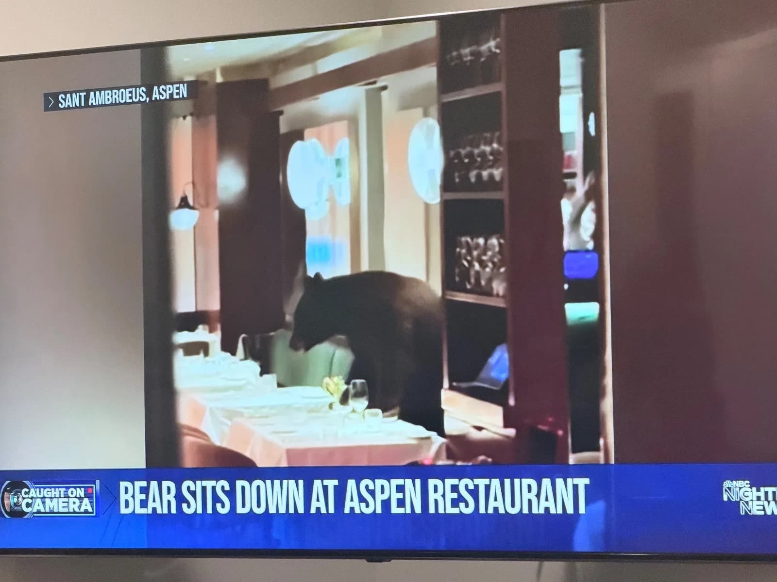 Bear sighting: Bear sits down at restaurant