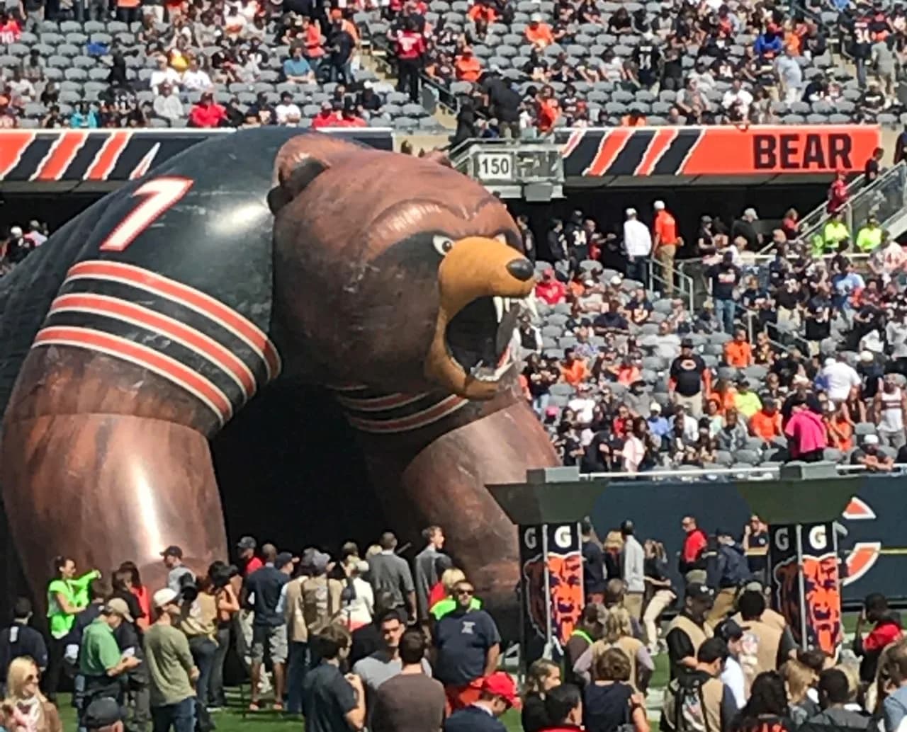 Bear sighting: Game Day Bear